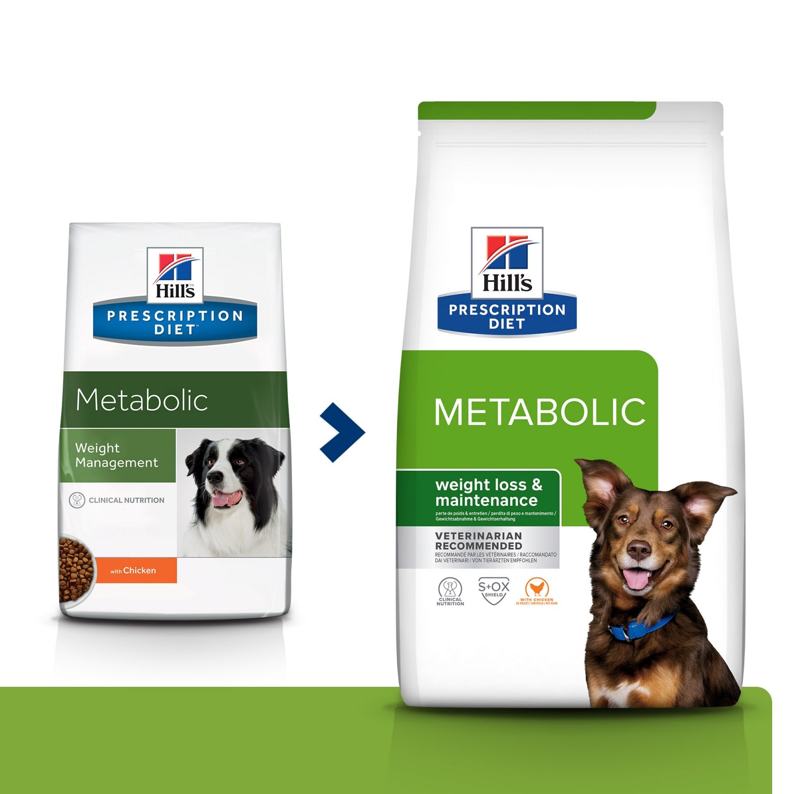 HILL'S Prescription Diet Metabolic, Pui, dietă veterinară câini, hrană uscată, afecțiuni metabolice (obezitate) HILL'S Prescription Diet Metabolic, Pui, dietă veterinară câini, hrană uscată, metabolism (obezitate si diabet), 1.5kg - poza 3