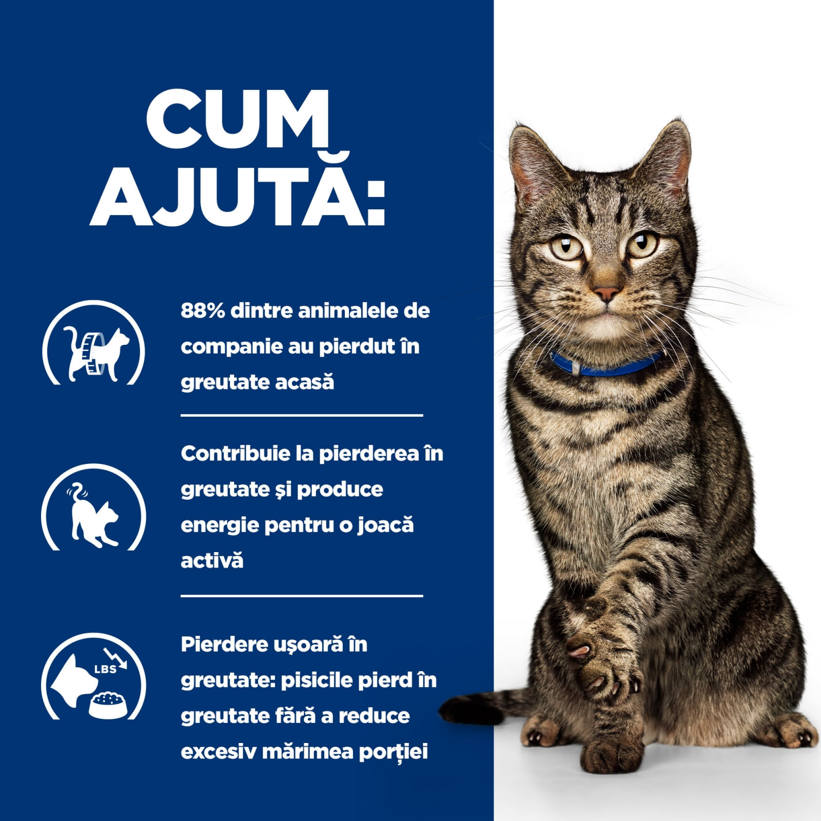 HILL'S Prescription Diet Metabolic, Pui, dietă veterinară pisici, plic hrană umedă, metabolism (obezitate si diabet), (în sos), 85g x 12buc - poza 3