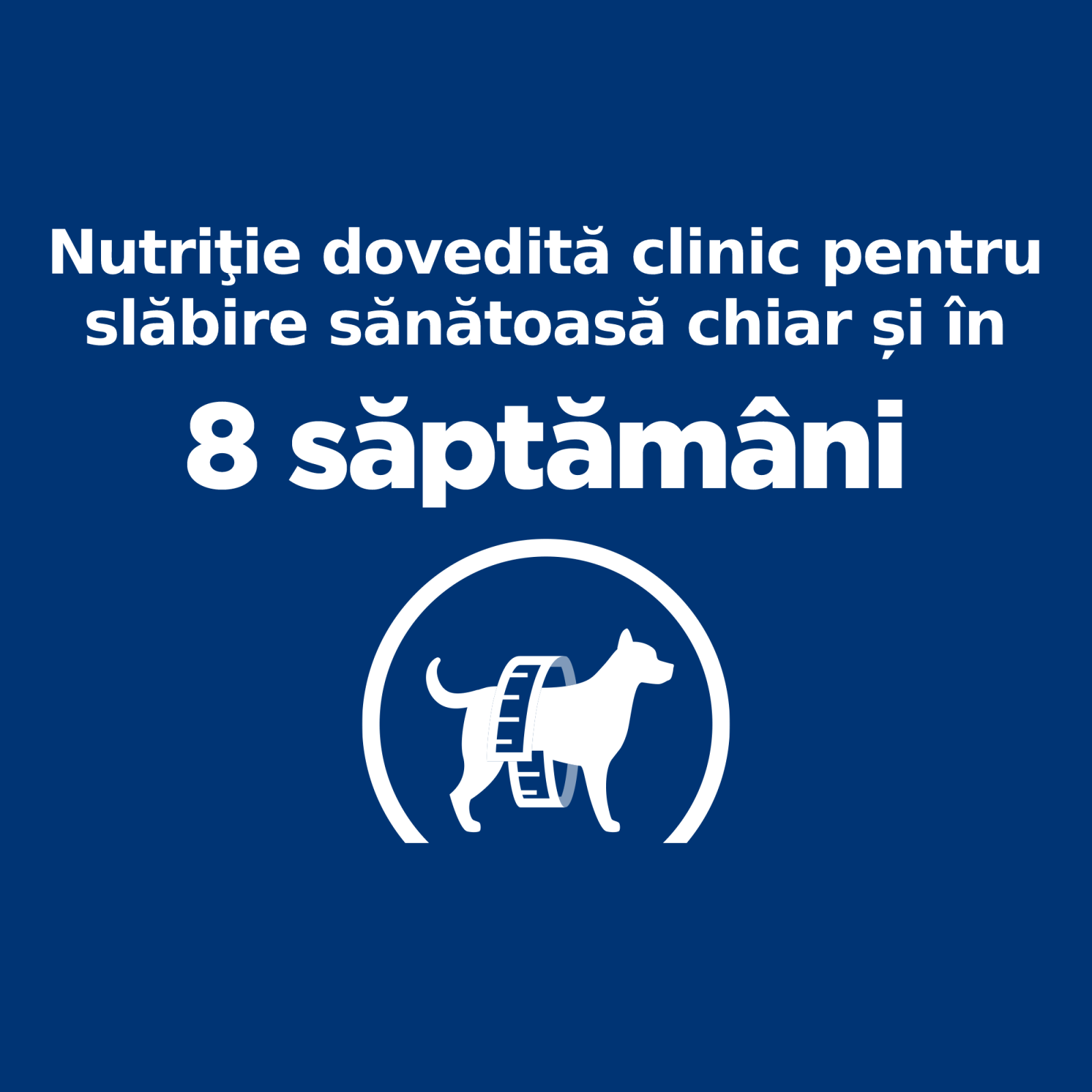 HILL'S Prescription Diet r/d Weight Loss, Pui, dietă veterinară câini, hrană uscată, scădere în greutate HILL'S Prescription Diet r/d Weight Loss, Pui, dietă veterinară câini, hrană uscată, metabolism (obezitate si diabet), 10kg - poza 5
