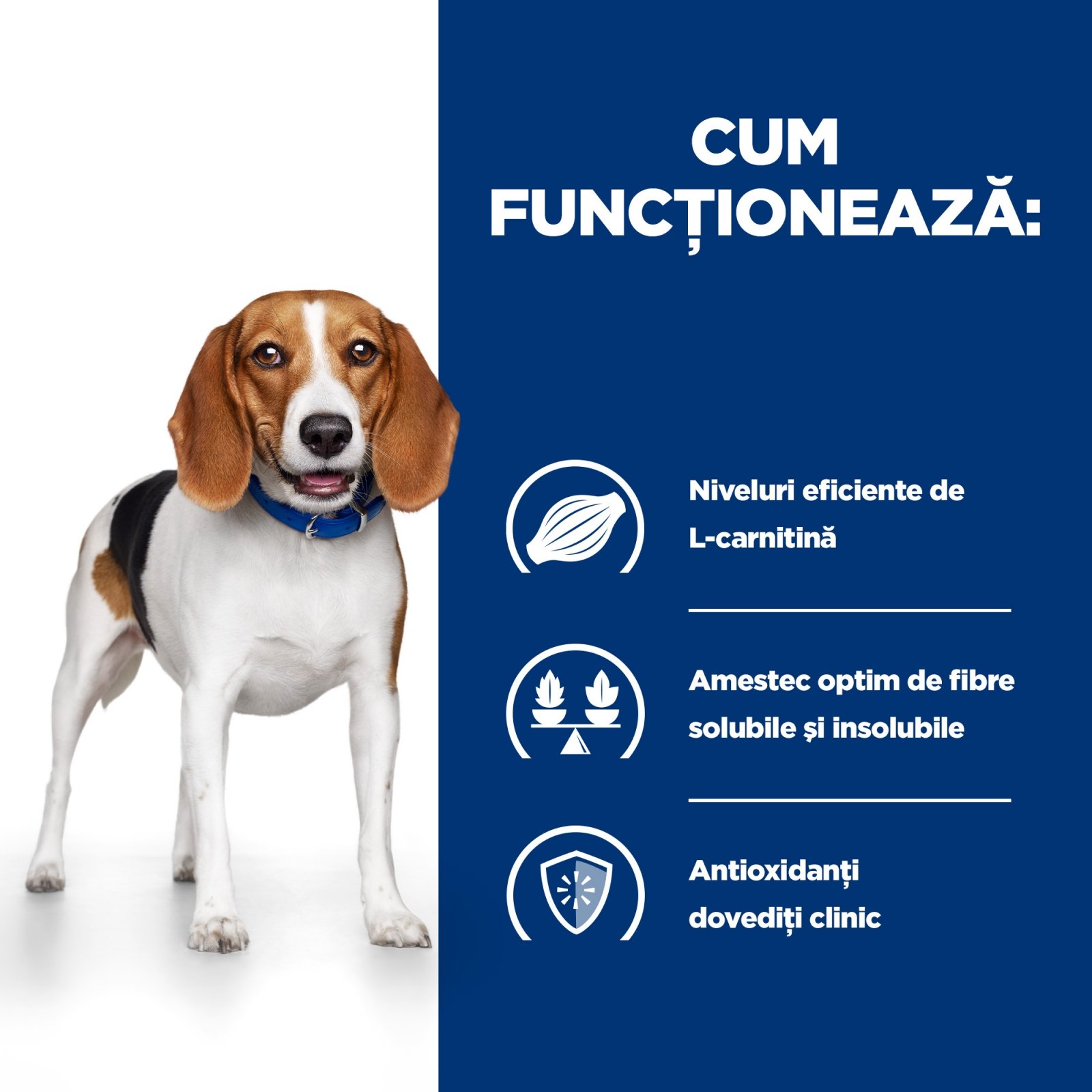 HILL'S Prescription Diet r/d Weight Loss, Pui, dietă veterinară câini, hrană uscată, scădere în greutate HILL'S Prescription Diet r/d Weight Loss, Pui, dietă veterinară câini, hrană uscată, metabolism (obezitate si diabet), 4kg - poza 5