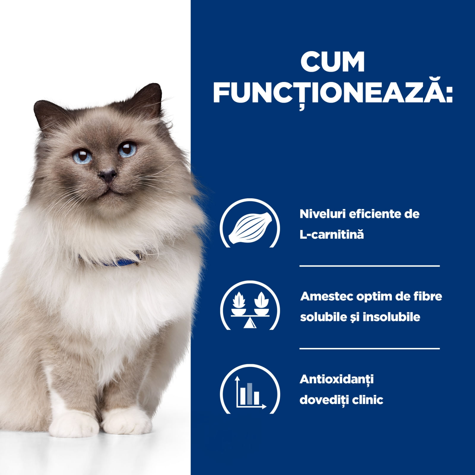 HILL'S Prescription Diet r/d Wheight Loss, Pui, dietă veterinară pisici, hrană uscată, scădere în greutate HILL'S Prescription Diet r/d Wheight Loss, Pui, dietă veterinară pisici, hrană uscată, metabolism (obezitate si diabet), 1.5kg - poza 5