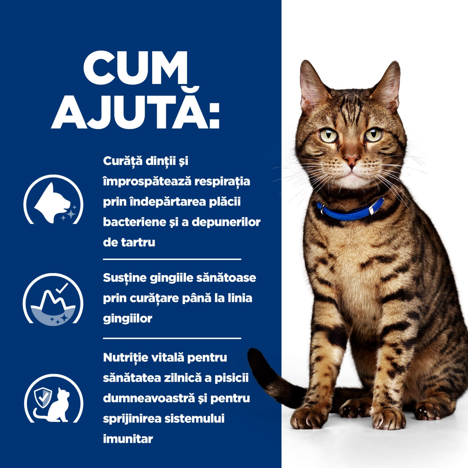 HILL'S Prescription Diet t/d Dental Care, Pui, dietă veterinară pisici, hrană uscată, afecțiuni dentare HILL'S Prescription Diet t/d Dental Care, Pui, dietă veterinară pisici, hrană uscată, sensibilități dentare, 3kg - poza 5