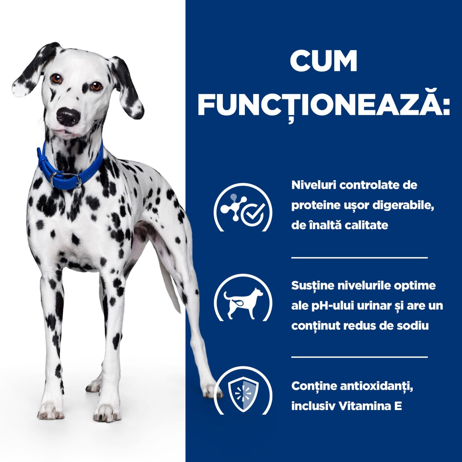 HILL'S Prescription Diet u/d Urinary Care, dietă veterinară câini, conservă hrană umedă, sistem urinar, 370g - poza 4