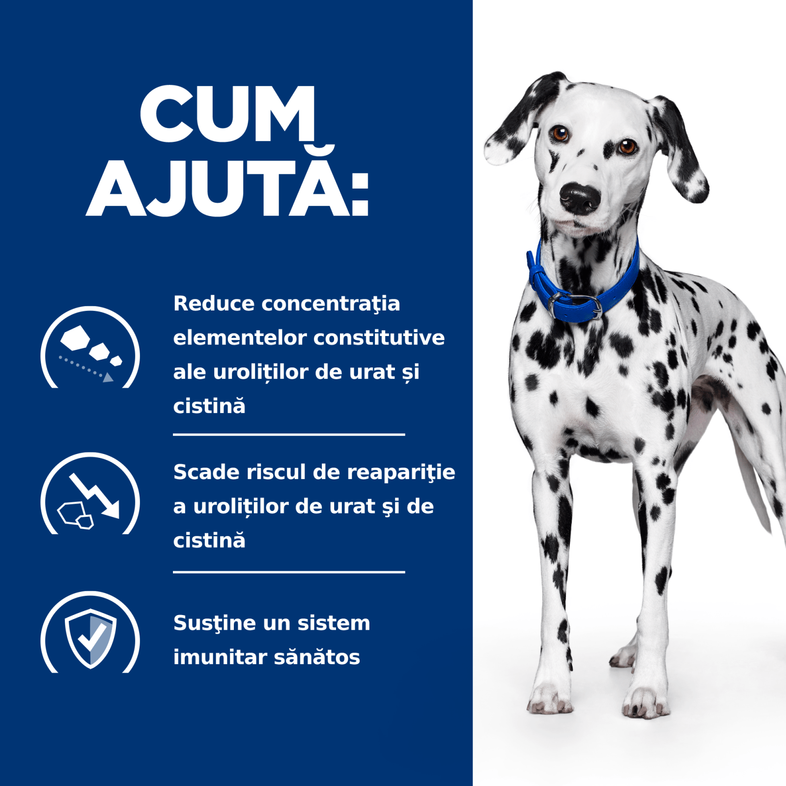 HILL'S Prescription Diet u/d Urinary Care, dietă veterinară câini, hrană uscată, afecțiuni urinare HILL'S Prescription Diet u/d Urinary Care, dietă veterinară câini, hrană uscată, sistem urinar, 4kg - poza 3