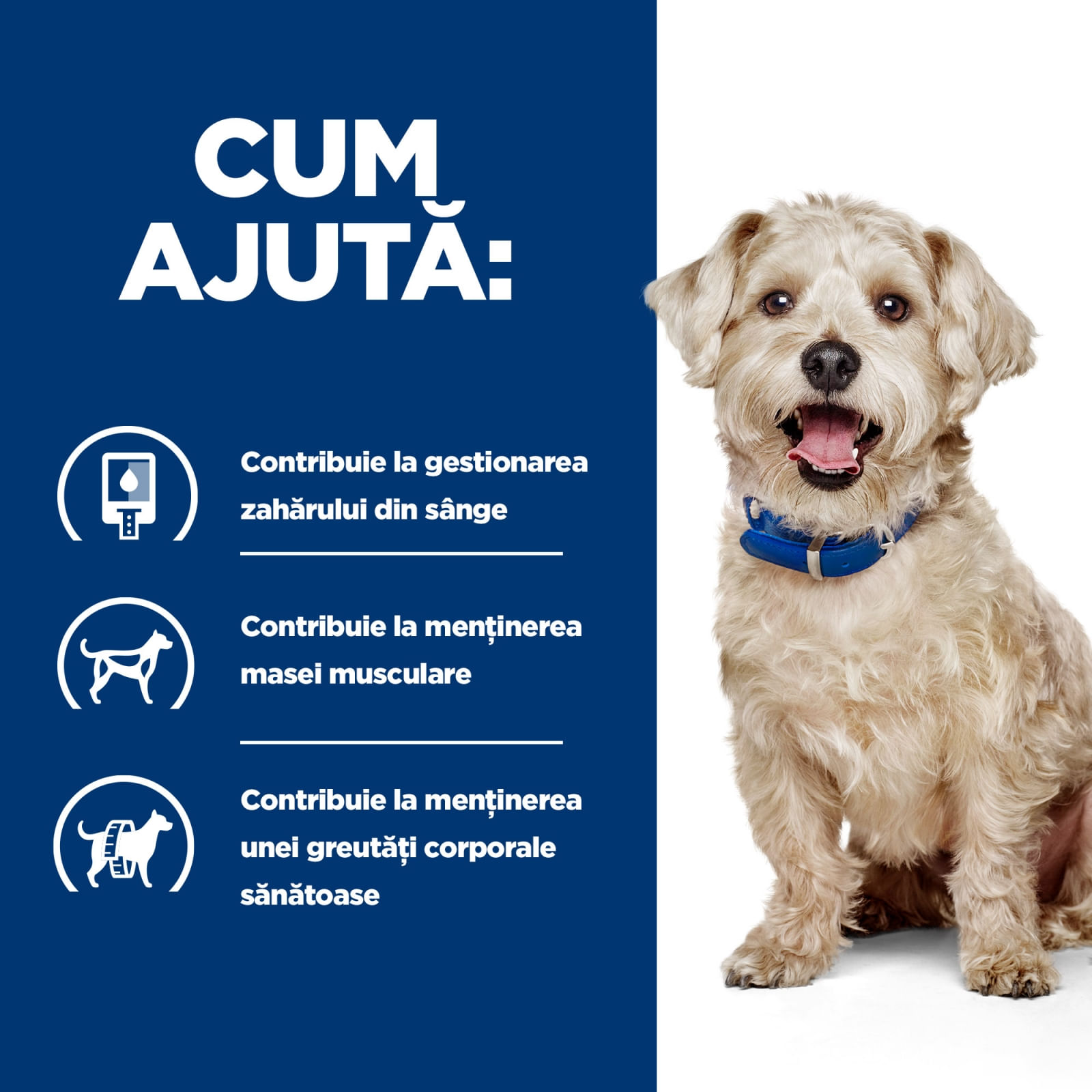 HILL'S Prescription Diet w/d Diabetes Care, Pui, dietă veterinară câini, hrană uscată, afecțiuni metabolice (diabet) HILL'S Prescription Diet w/d Diabetes Care, Pui, dietă veterinară câini, hrană uscată, metabolism ( obezitate si diabet), 4 - poza 5