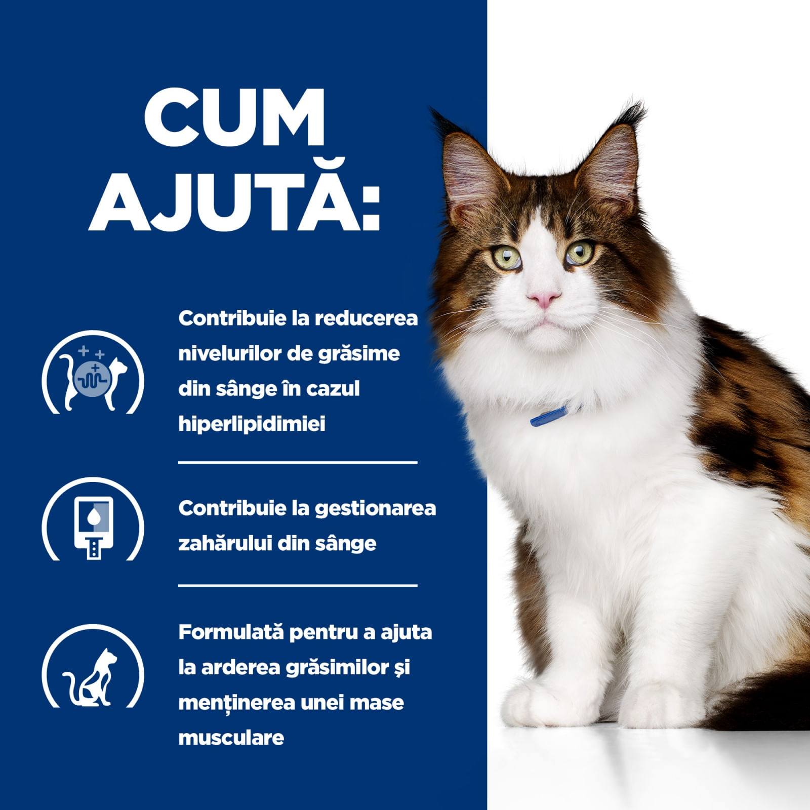 HILL'S Prescription Diet w/d Multi-Benefit, Pui, dietă veterinară pisici, conservă hrană umedă, metabolism (obezitate si diabet), 156g - poza 5