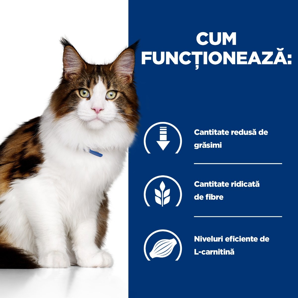 HILL'S Prescription Diet w/d Multi-Benefit, Pui, dietă veterinară, plic hrană umedă pisici, obezitate & diabet, bax, 85g x 12buc - poza 3