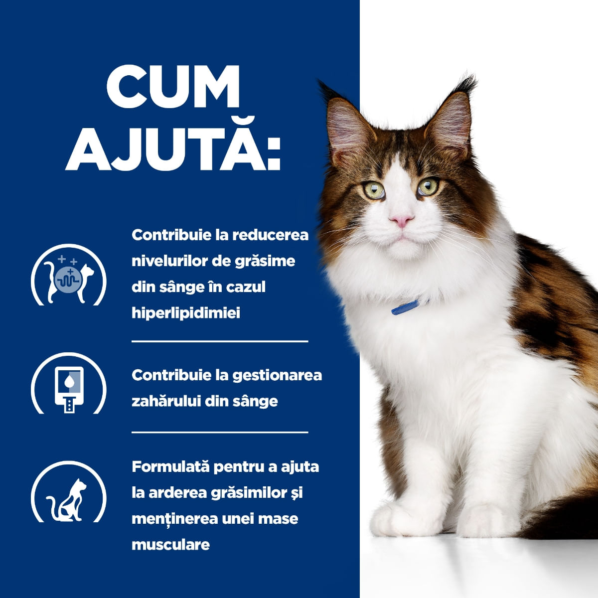 HILL'S Prescription Diet w/d Multi-Benefit, Pui, dietă veterinară, plic hrană umedă pisici, obezitate & diabet, bax, 85g x 12buc - poza 4