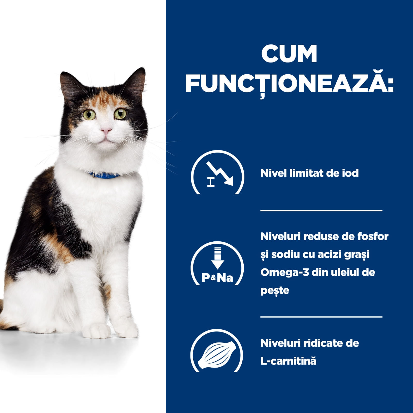 HILL'S Prescription Diet y/d Thyroid Care, dietă veterinară pisici, hrană uscată, afecțiuni tiroidiene HILL'S Prescription Diet y/d Thyroid Care, dietă veterinară pisici, hrană uscată, metabolism ( obezitate si diabet), 1.5kg - poza 5