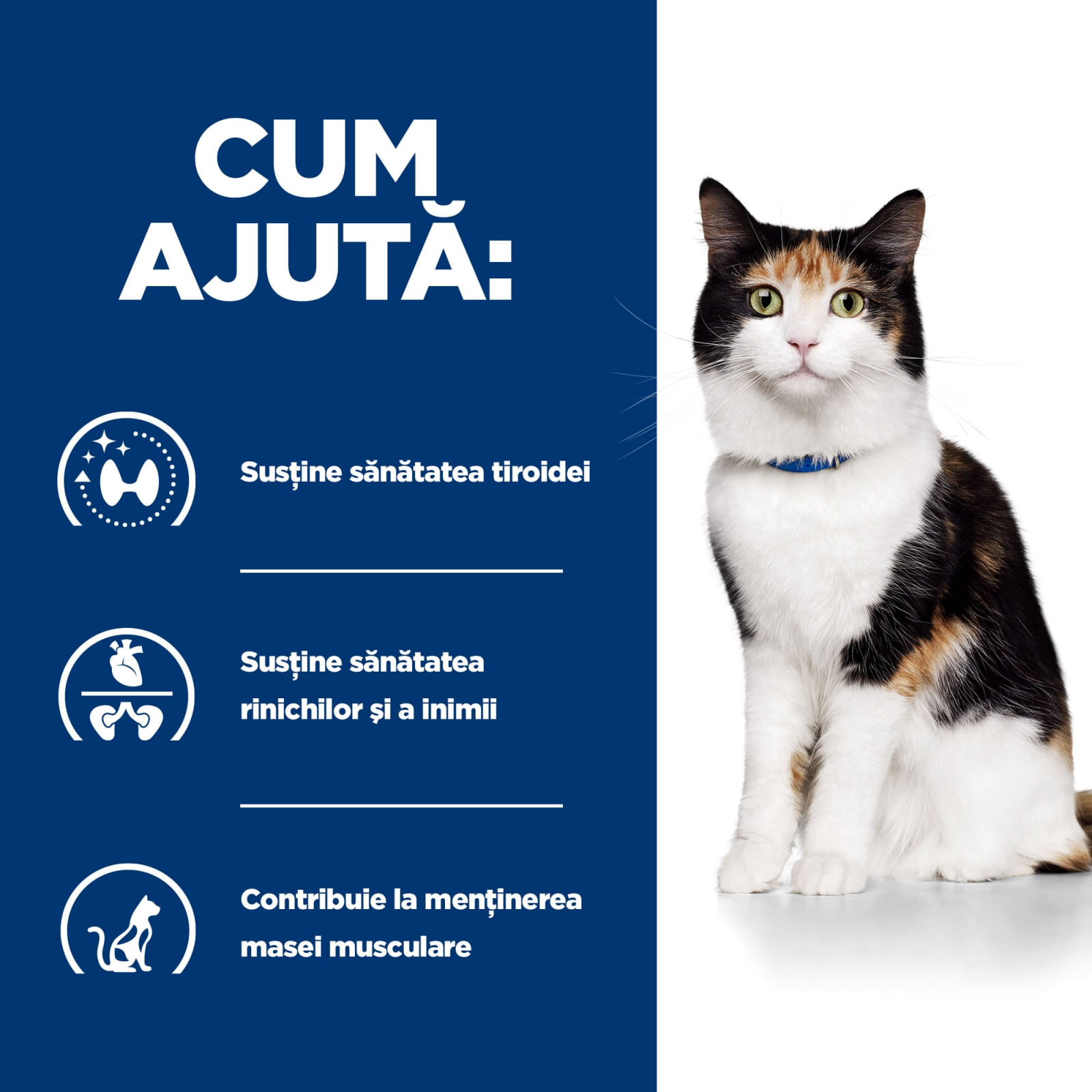 HILL'S Prescription Diet y/d Thyroid Care, dietă veterinară pisici, hrană uscată, afecțiuni tiroidiene HILL'S Prescription Diet y/d Thyroid Care, dietă veterinară pisici, hrană uscată, metabolism ( obezitate si diabet), 3kg - poza 4