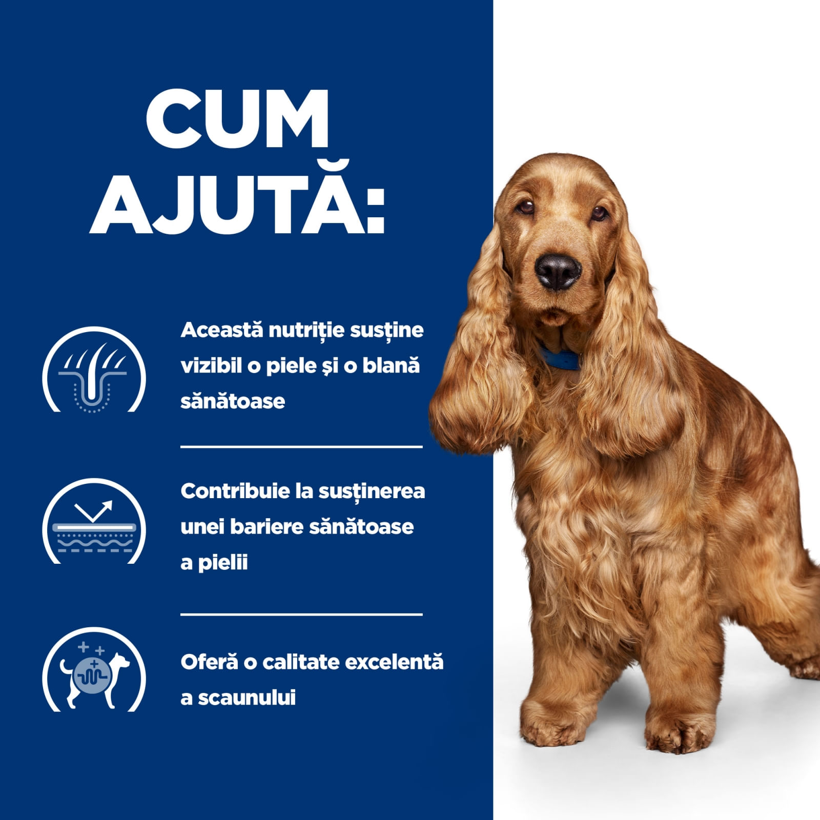 HILL'S Prescription Diet z/d Food Sensitivities, dietă veterinară câini, hrană uscată, afecțiuni dermatologice și digestive HILL'S Prescription Diet z/d Food Sensitivities, dietă veterinară câini, hrană uscată, piele & blana, sistem digesti - poza 5