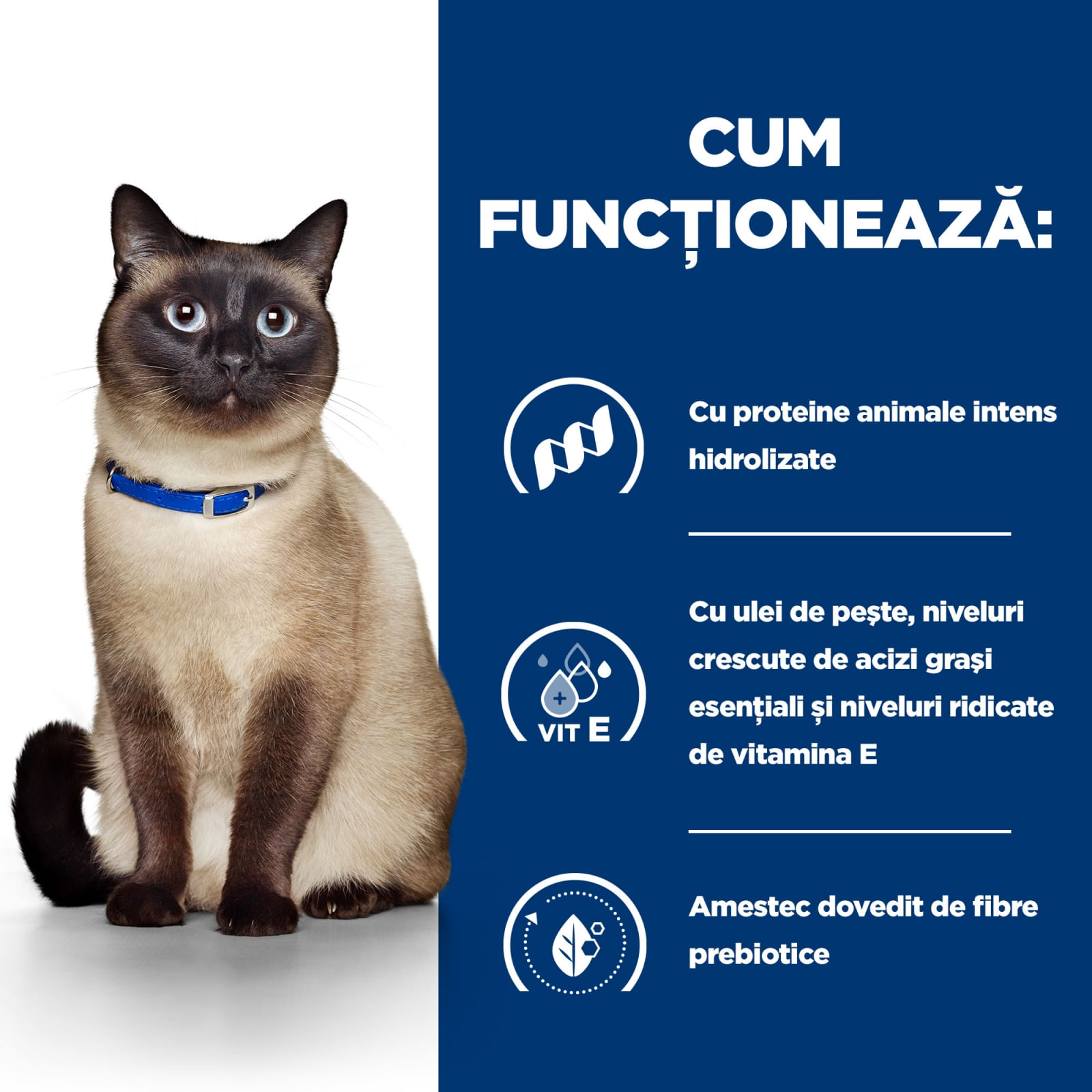 HILL'S Prescription Diet z/d Food Sensitivities, dietă veterinară pisici, hrană uscată, afecțiuni dermatologice și digestive HILL'S Prescription Diet z/d Food Sensitivities, dietă veterinară pisici, hrană uscată, piele & blana, sistem diges - poza 4