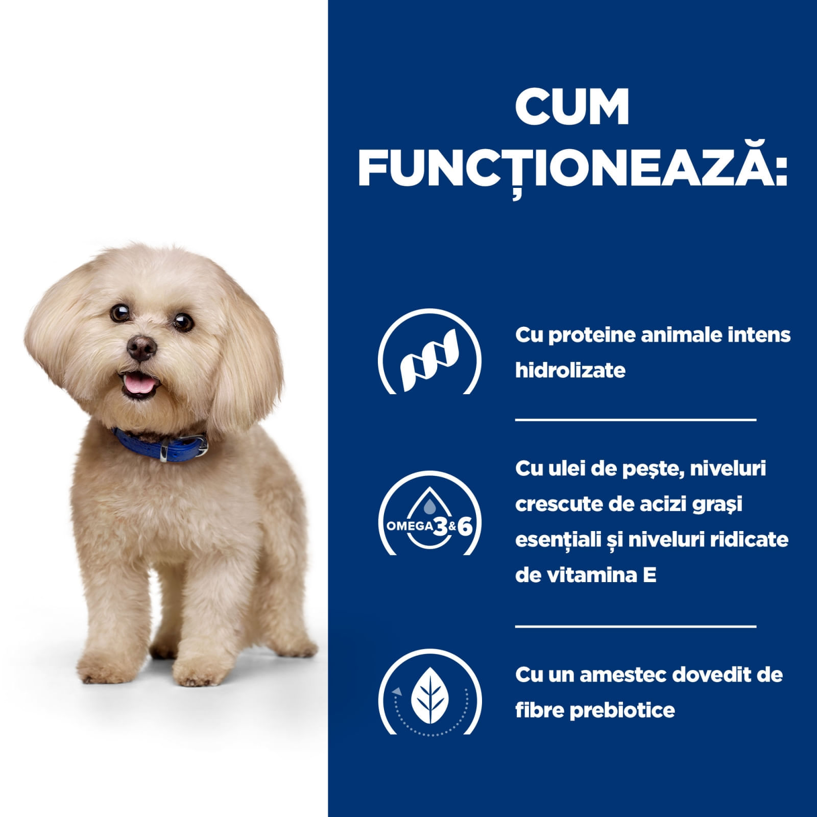 HILL'S Prescription Diet z/d Food Sensitivities Mini, dietă veterinară câini, hrană uscată, afecțiuni dermatologice și digestive HILL'S Prescription Diet z/d Food Sensitivities Mini, dietă veterinară câini, hrană uscată, piele & blana, sist - poza 4