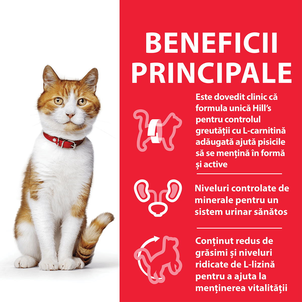 HILL'S SCIENCE PLAN Adult Sterilised, Pui, hrană uscată pisici sterilizate, 3kg - poza 3