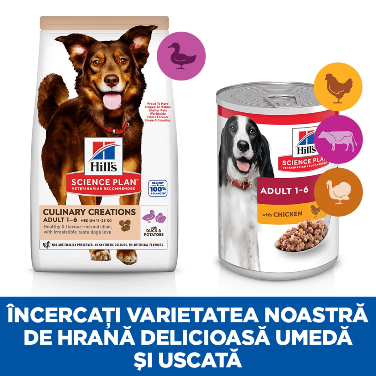 HILL'S Science Plan Culinary Creations, M, Rață și Cartof, hrană uscată câini, 14kg - poza 4