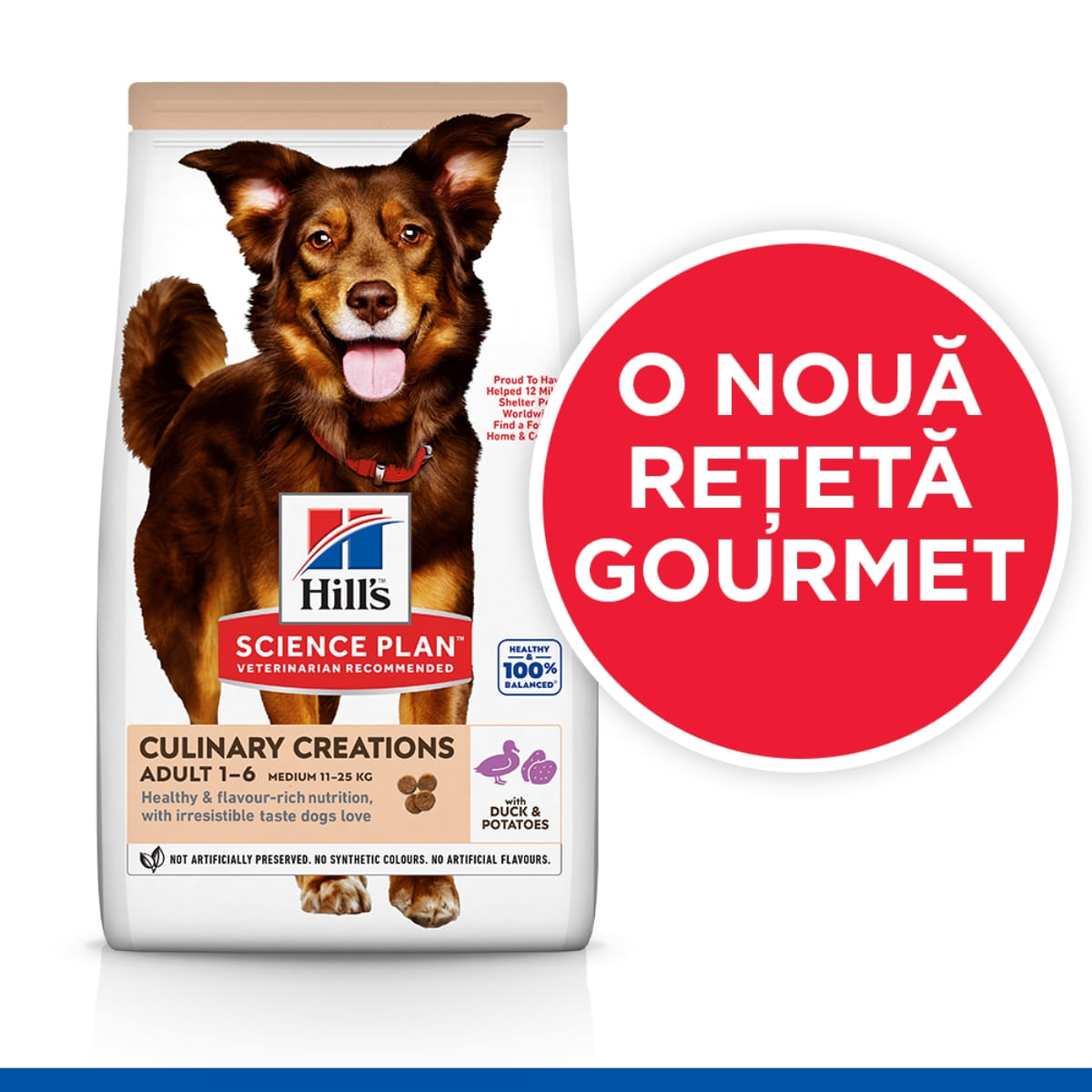 HILL'S Science Plan Culinary Creations, M, Rață și Cartof, hrană uscată câini, 14kg - poza 5