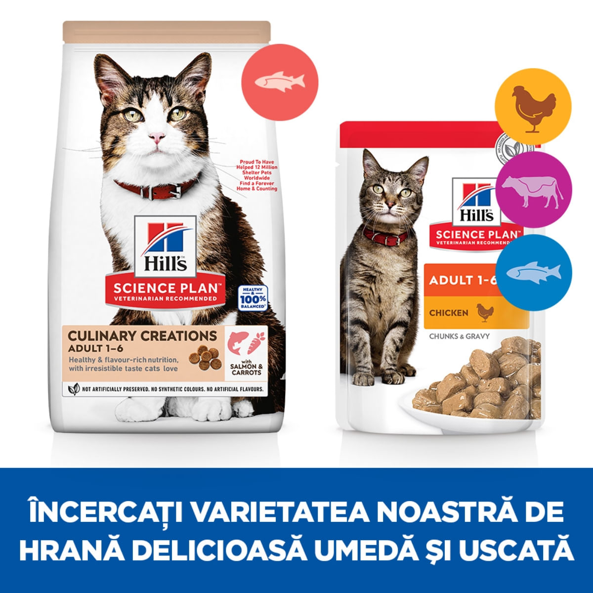 HILL'S Science Plan Culinary Creations, Somon și Morcov, hrană uscată pisici, 10kg - poza 5