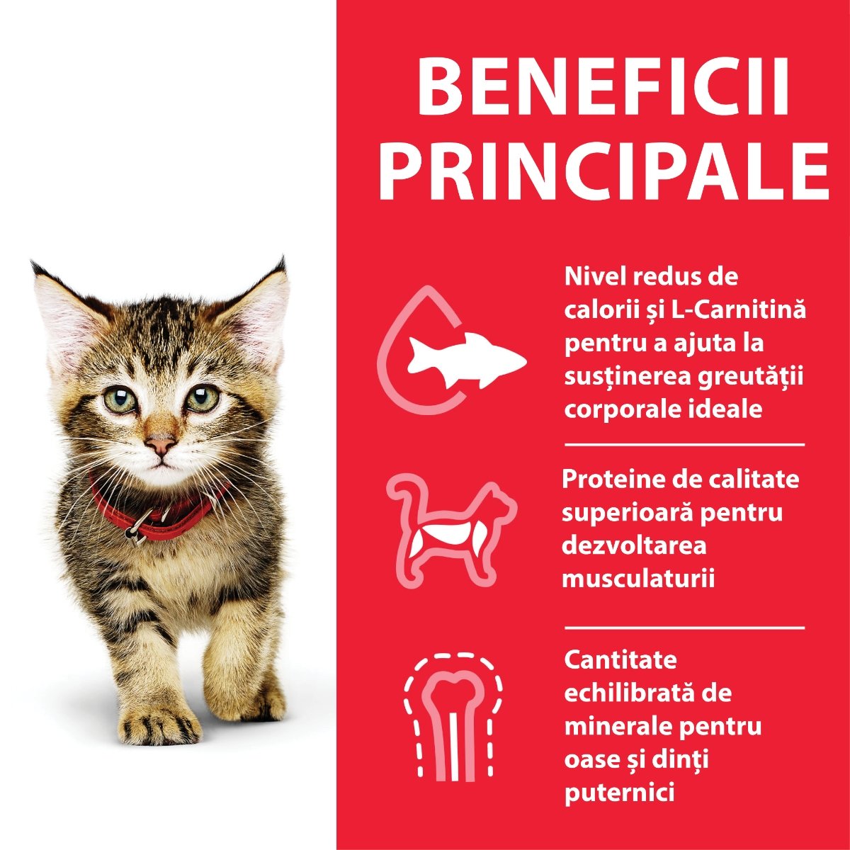 HILL'S Science Plan Kitten, Ton, hrană uscată pisici junior, 7kg - poza 4
