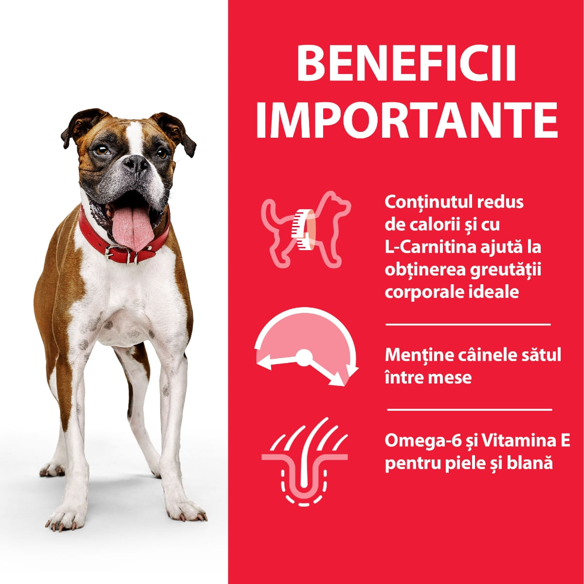 HILL'S SCIENCE PLAN Light, XS-XL, Pui, conservă hrană umedă câini, managementul greutății, (pate), 370g - poza 3