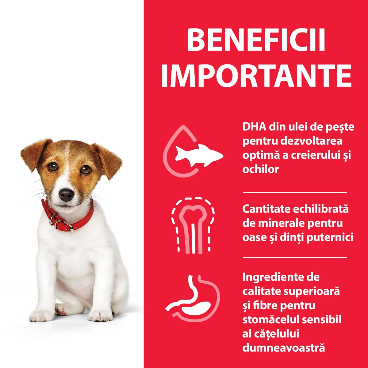 HILL'S Science Plan Puppy XS-S, Pui, hrană uscată câini junior, 6kg - poza 5