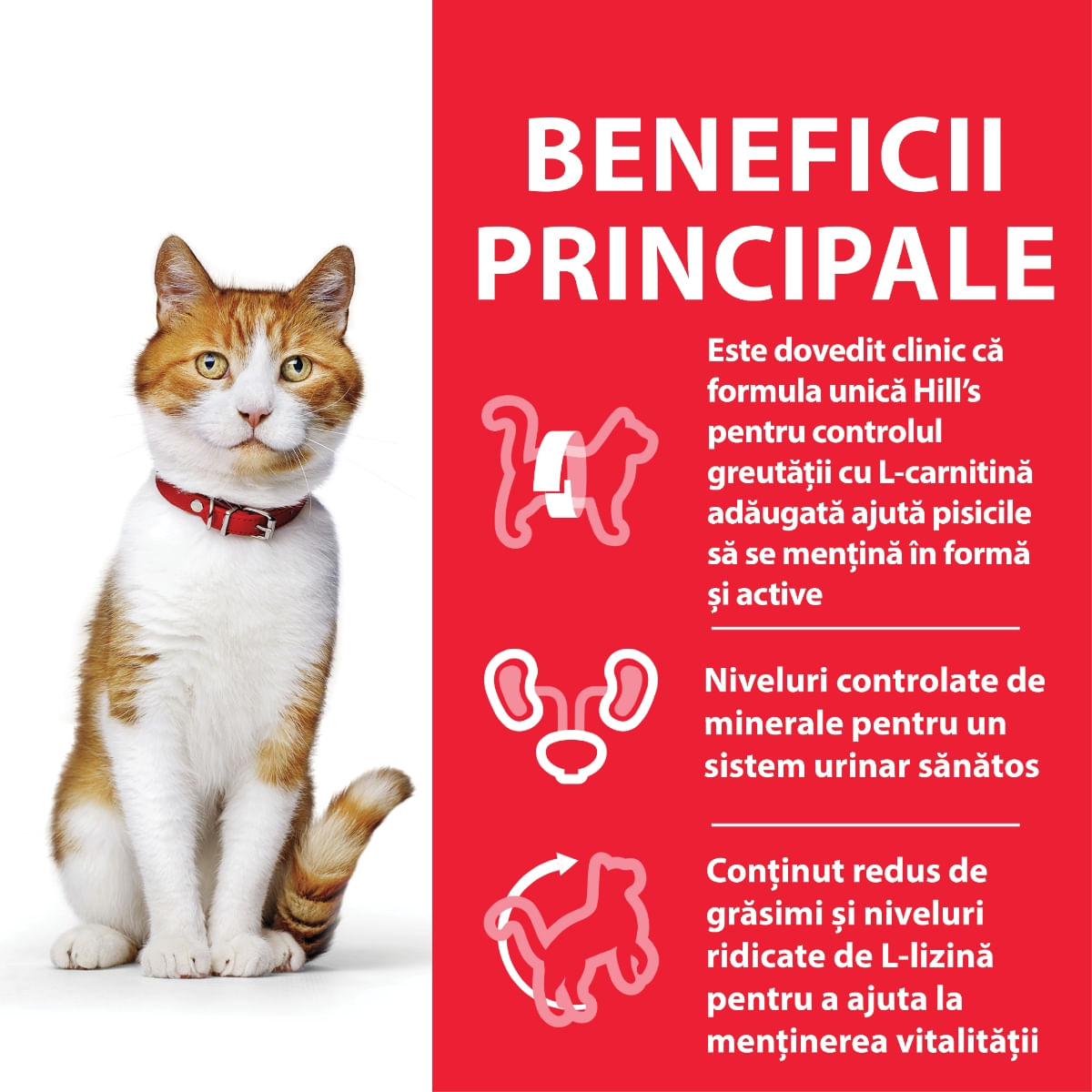 HILL'S Science Plan, Rață, hrană uscată pisici sterilizate, 300g - poza 2