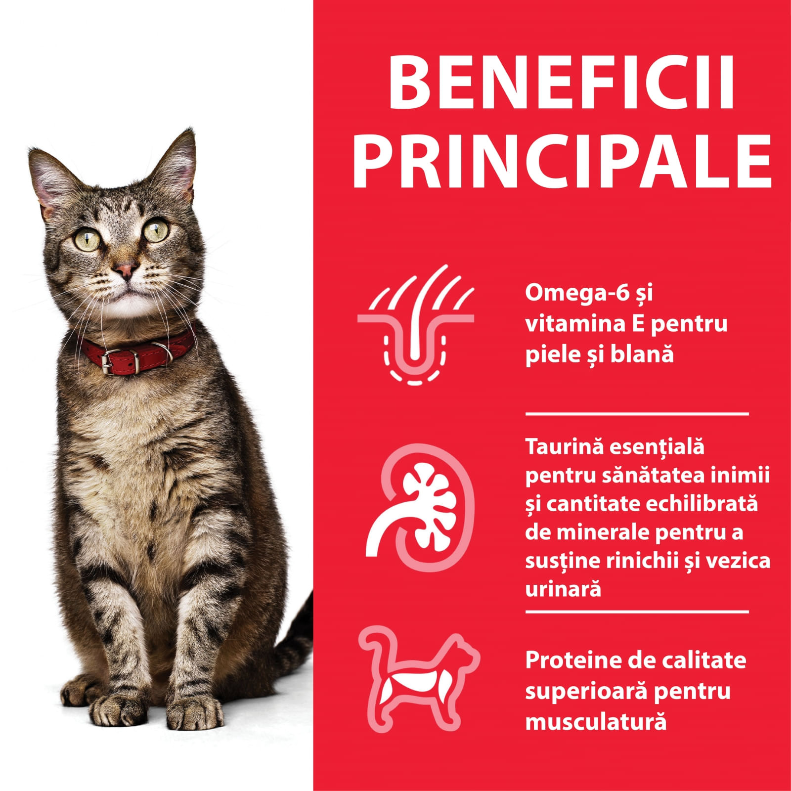 HILL'S SCIENCE PLAN, Vită, plic hrană umedă pisici, (în sos), 85g HILL'S SCIENCE PLAN, Vită, plic hrană umedă pisici, (în sos), bax, 85g x 12buc - poza 3