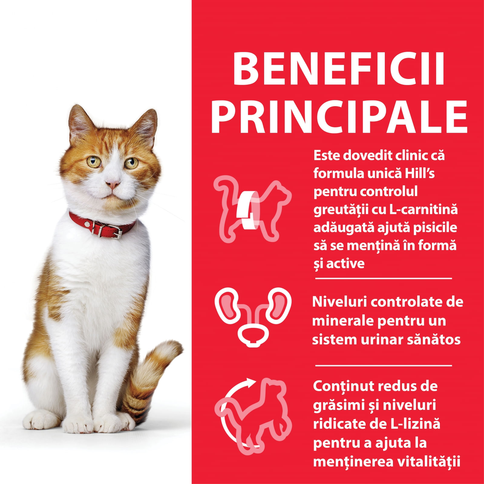 HILL'S SCIENCE PLAN Young Adult Sterilised, Rață, hrană uscată pisici sterilizate HILL'S SCIENCE PLAN Adult Sterilised, Rață, hrană uscată pisici sterilizate, 10kg - poza 3