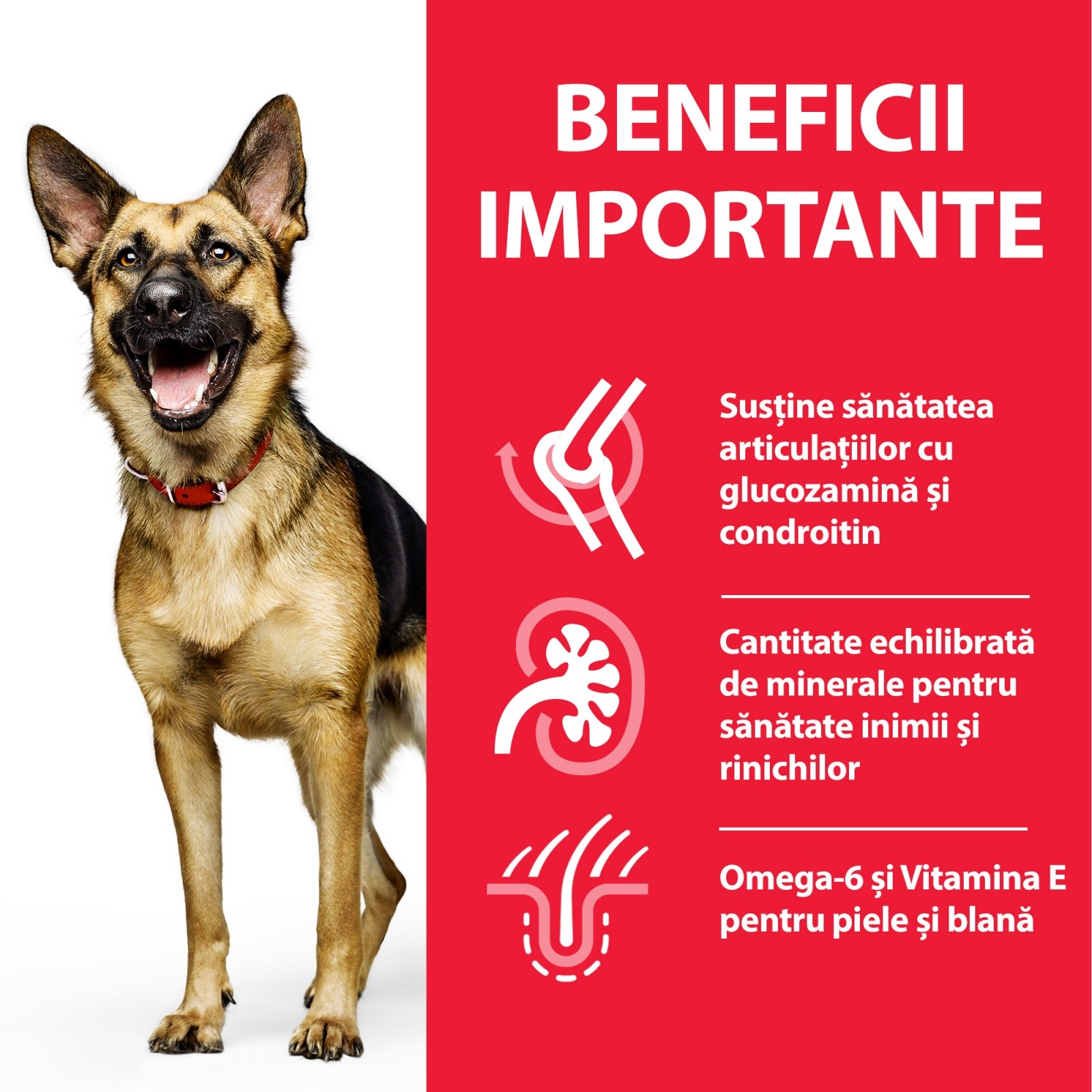 Hill's SP Canine Mature Large Breed Pui, Value Pack, 18 Kg - poza 5