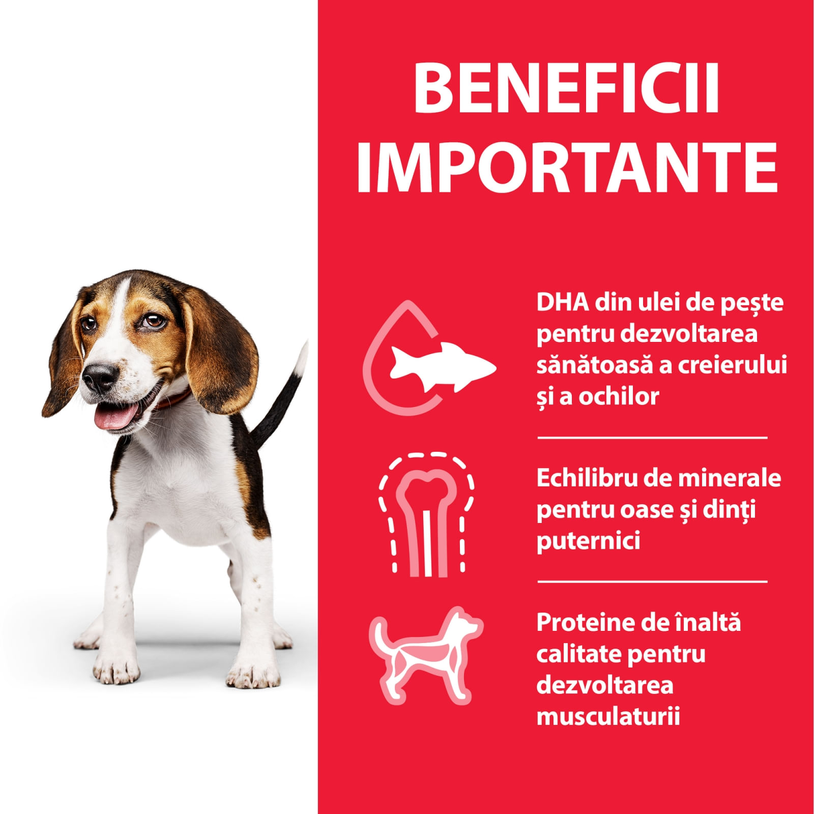Hill's SP Canine Puppy Medium Pui, Value Pack, 18 Kg - poza 4