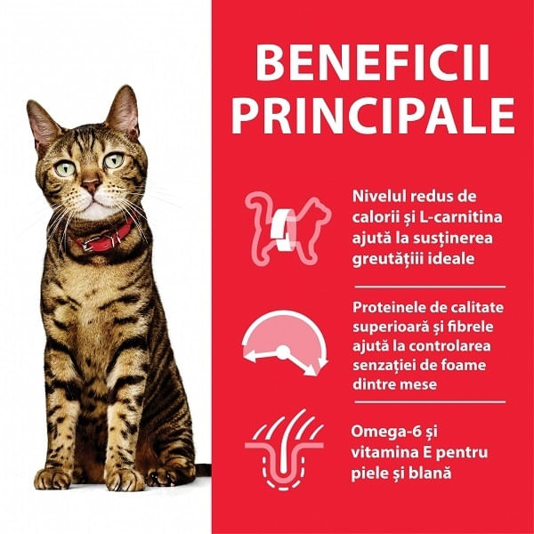 Hill's SP Feline Adult Light Pui, 3 Kg - poza 3