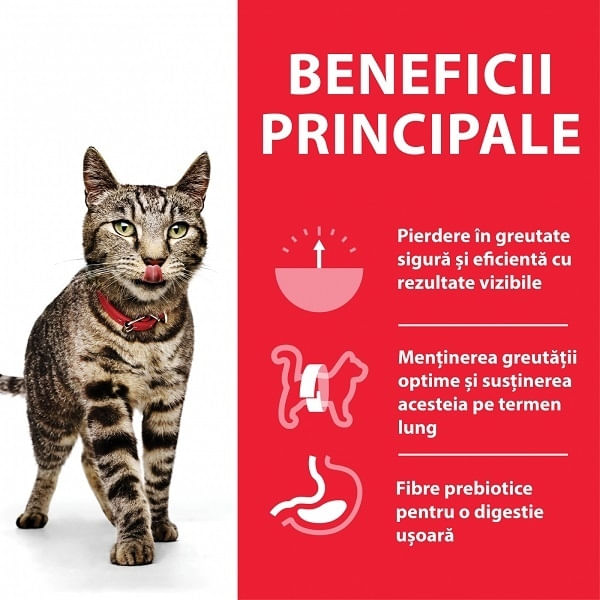 Hill's SP Feline Adult Pui, 3 Kg - poza 3