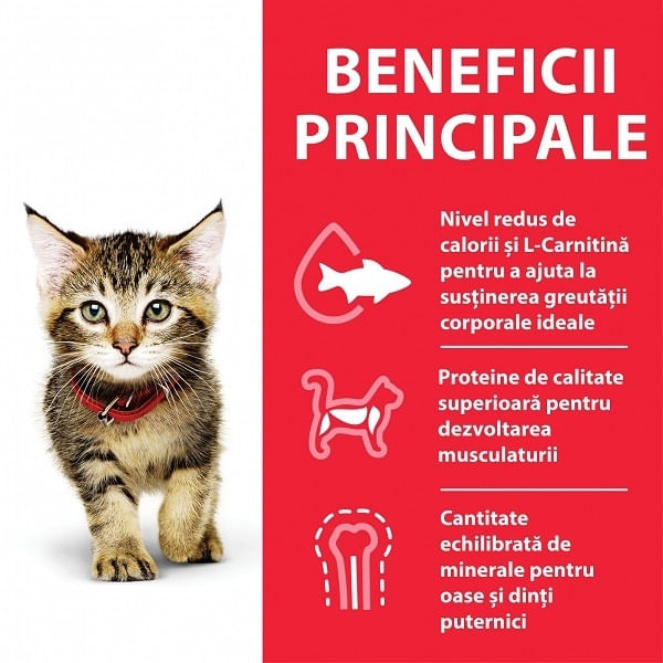 Hill's SP Feline Kitten Pui, 1.5 Kg - poza 3