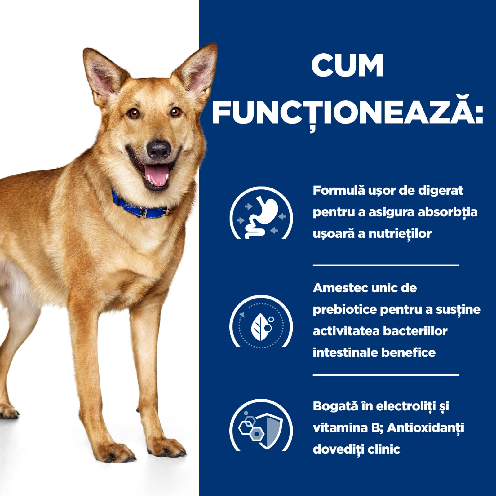 HILL'Sss Prescription Diet i/d Digestive Care, Pui, dietă veterinară câini, hrană uscată, sensibilități digestive HILL'S Prescription Diet i/d Digestive Care, Pui, dietă veterinară câini, hrană uscată, sistem digestiv, 16kg - poza 5