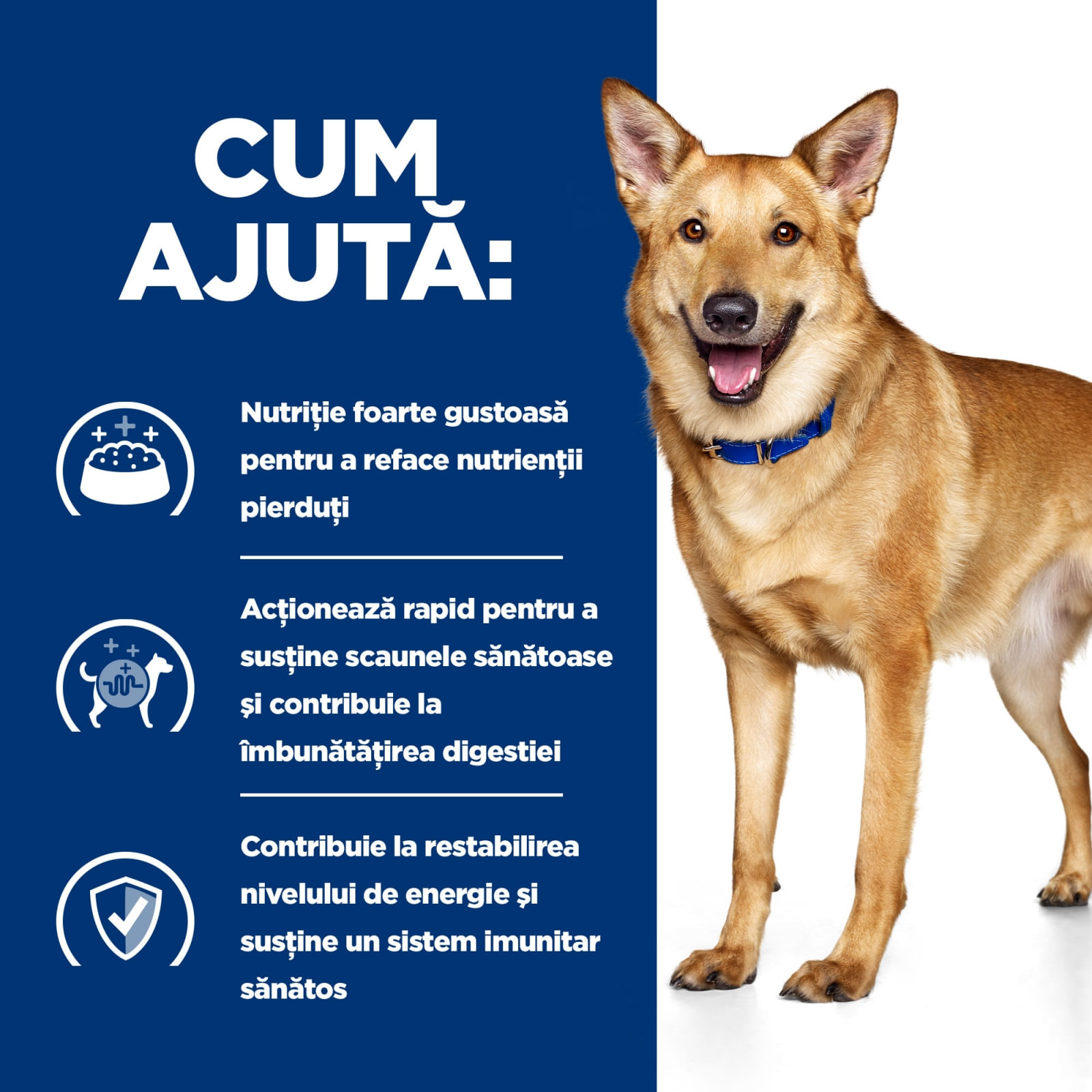 HILL'Sss Prescription Diet i/d Digestive Care, Pui, dietă veterinară câini, hrană uscată, sensibilități digestive HILL'S Prescription Diet i/d Digestive Care, Pui, dietă veterinară câini, hrană uscată, sistem digestiv, 1.5kg - poza 3