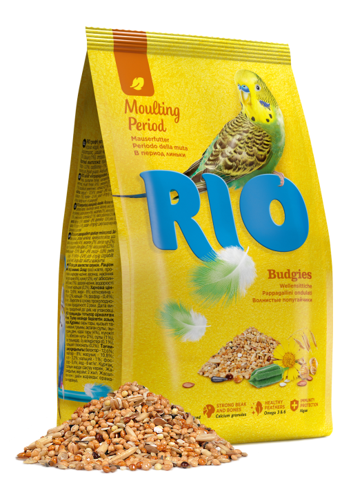 Hrana pentru perusi Rio, pentru penaj, 500g
