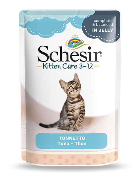 Hrana umeda pisici, Schesir Kitten Tuna in Jelly, 85 g