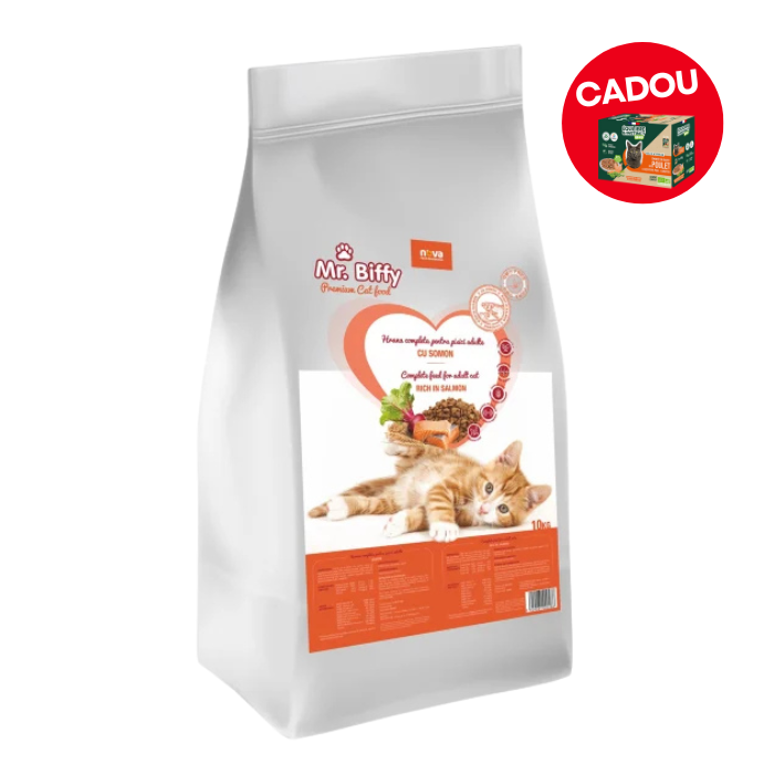 Hrana uscata pentru pisici Mr. Biffy, Somon, 10kg