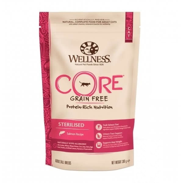 Hrana Uscata Wellness Core Dry Sterilised cu Somon, 300 g - poza 2