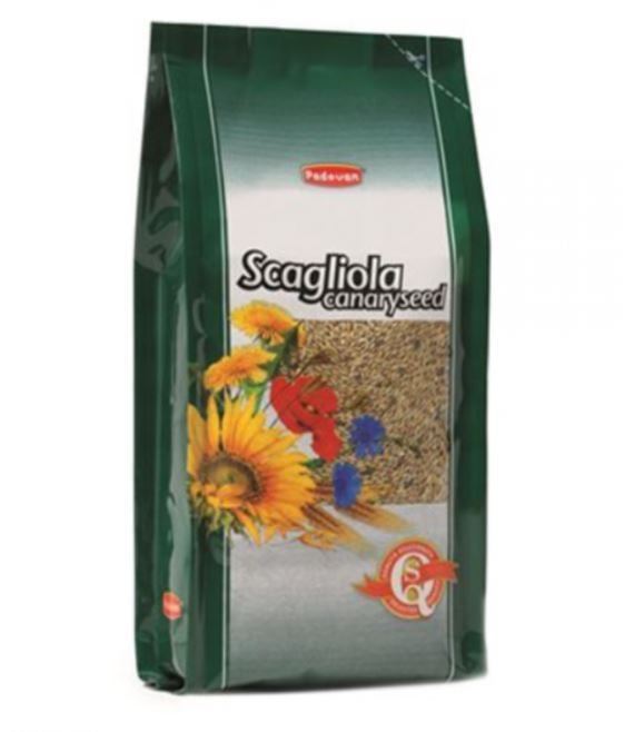 Iarba canarilor (Scagliola Glant) Padovan, 1kg - poza 1
