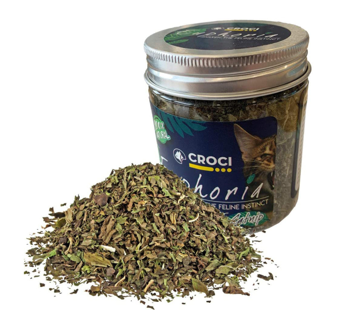 Iarba pentru pisici Croci Euphoria, 25g