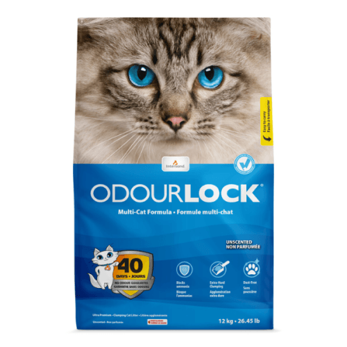 INTERSAND ODOURLOCK UNSCENTED, neparfumat, așternut igienic pisici, bentonită, aglomerant, neutralizare mirosuri, 12kg INTERSAND ODOURLOCK UNSCENTED, neparfumat, așternut igienic pisici, bentonită, aglomerant, neutralizare mirosuri - poza 1