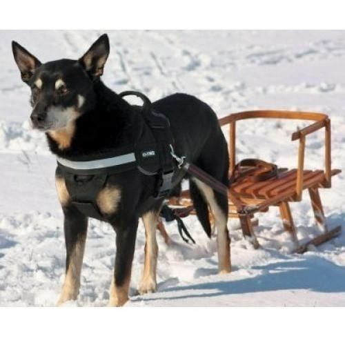JULIUS-K9 IDC Power, ham tractiune caini, M, 14-25kg, negru - poza 3