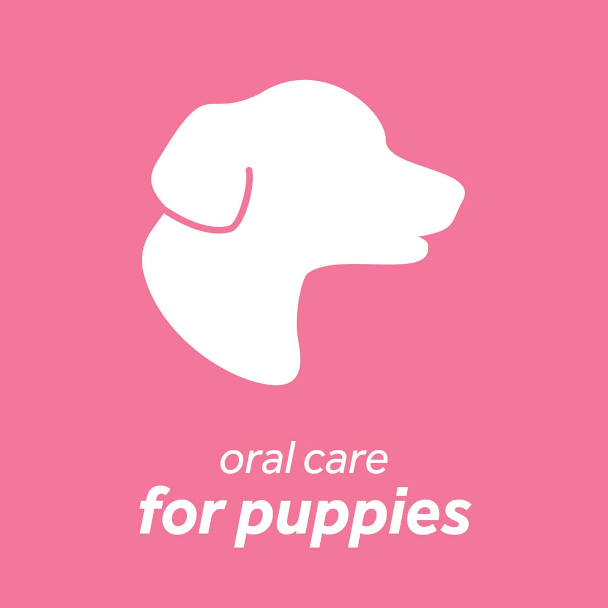 Kit Igiena Orala Fresh Breath Puppy TropiClean, 59 ml - poza 4
