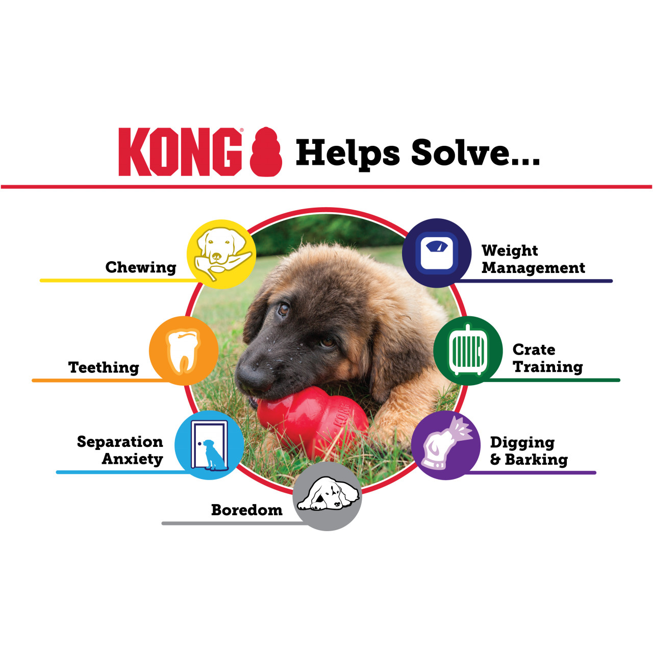 KONG Puppy - poza 4
