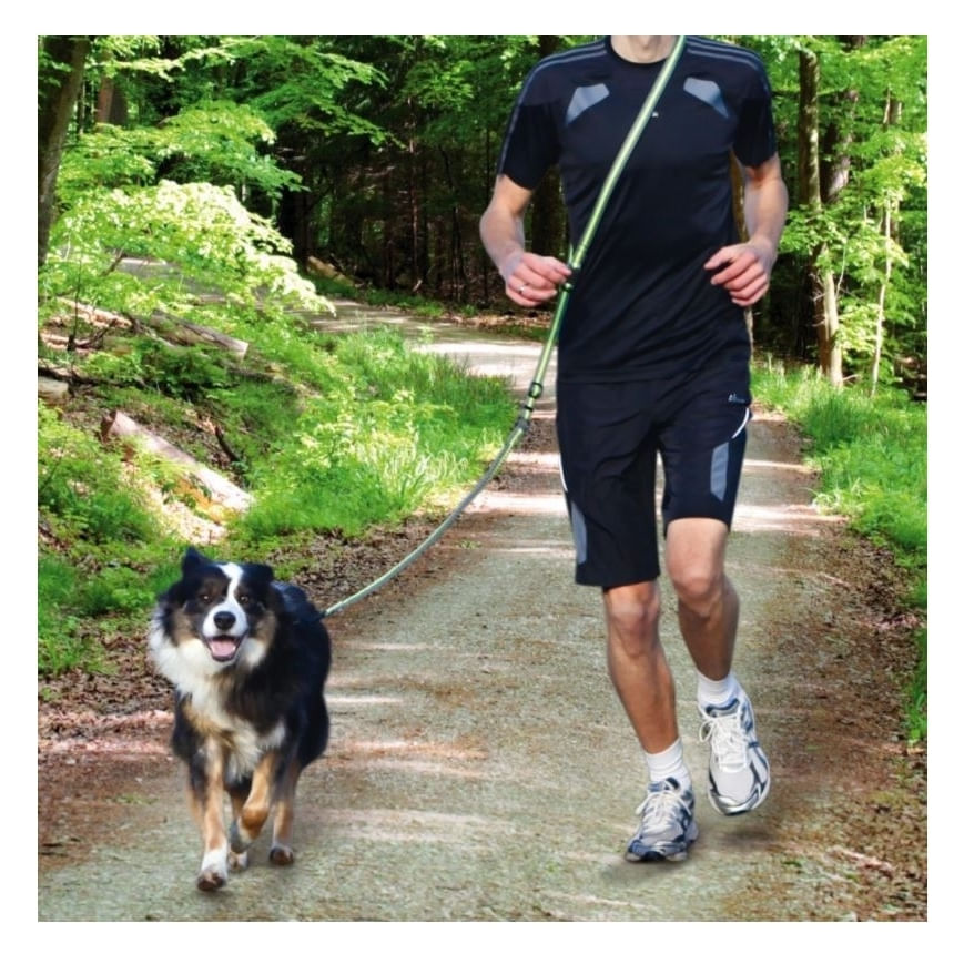 Lesa Jogging cu Amortizor 133 - 180 Cm x 20 Mm, Verde-Negru - poza 4