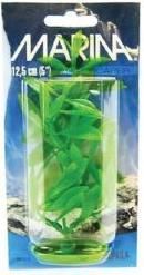 Marina Plante Hygrophila 20 cm PP813