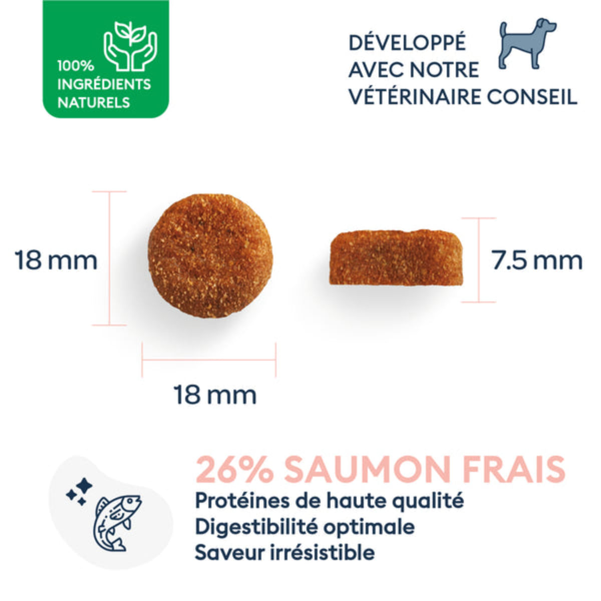 MARLY&DAN Adult Large Breed, L-XL, Somon, hrană uscată fără cereale câini, 12kg - poza 3