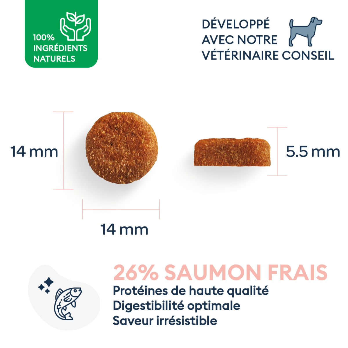 MARLY&DAN Adult Medium Breed, M, Somon, hrană uscată fără cereale câini, 4kg - poza 3