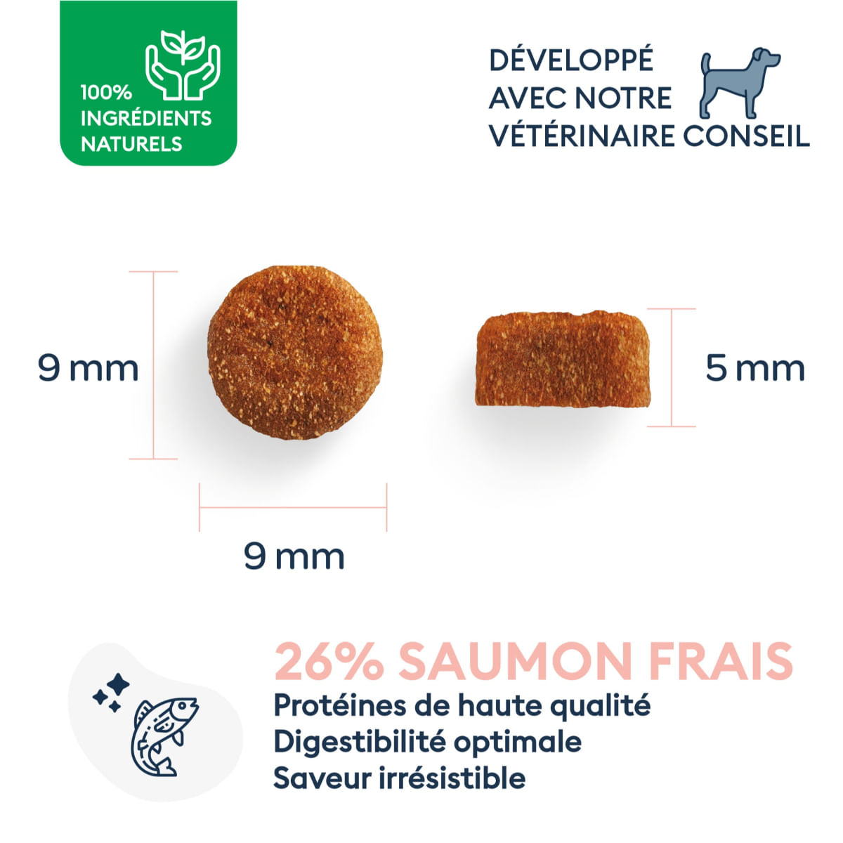 MARLY&DAN Adult Small Breed, XS-S, Somon, hrană uscată fără cereale câini, 4kg - poza 3