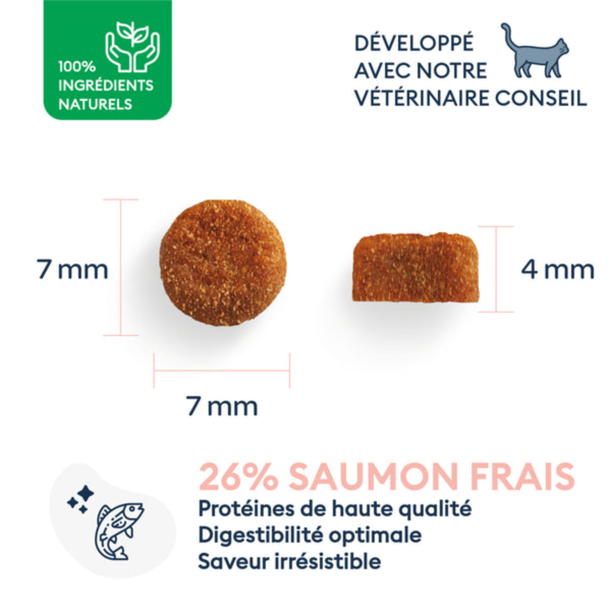 MARLY&DAN Kitten , Somon, hrană uscată fără cereale pisici junior, 400g - poza 3